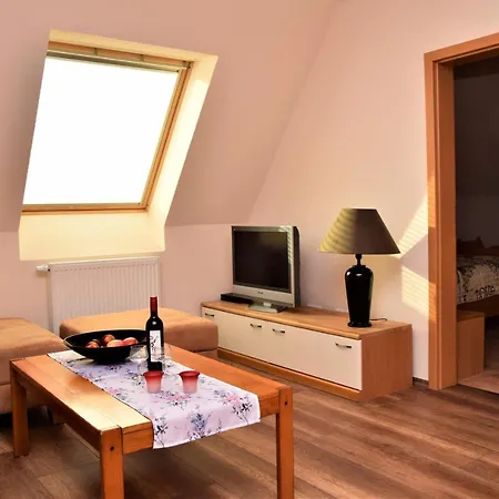 公寓 Anneliese Am Stadttor 霍恩巴赫